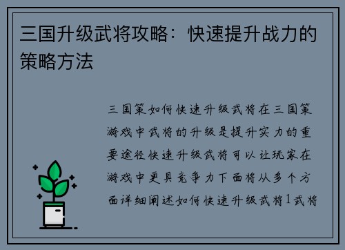 三国升级武将攻略：快速提升战力的策略方法